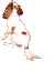 Spaniel